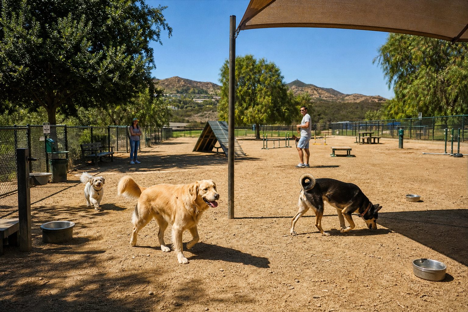 Three dogs play together in fenced off-leash dog park with agility structures while owners watch in Santa Clarita Valley setting.